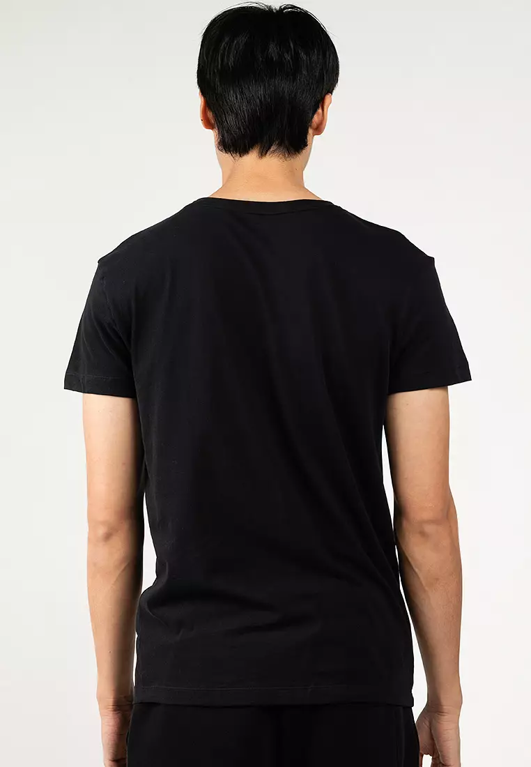 Pack of 2 Crew Neck T-Shirts