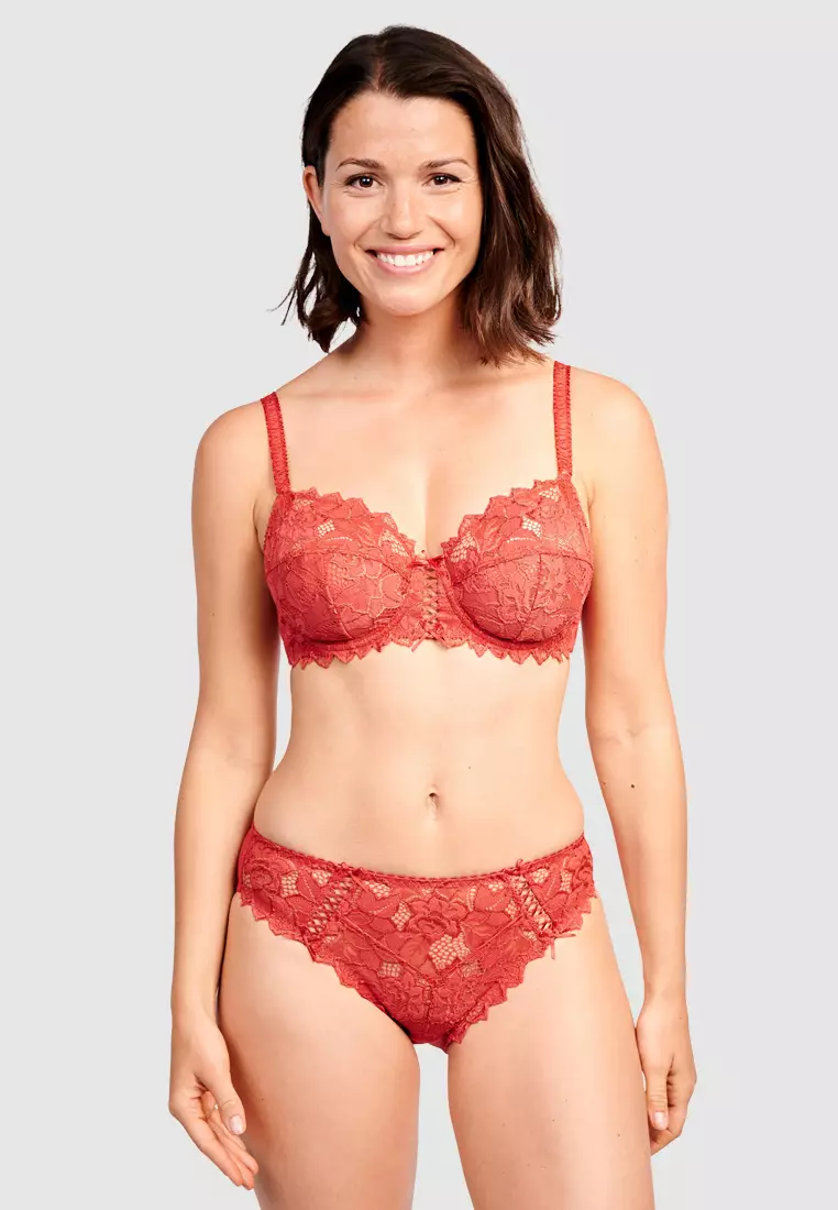Sans Complexe Arum Microfiber and Lace Hipster Brief - Skin - Curvy Bras