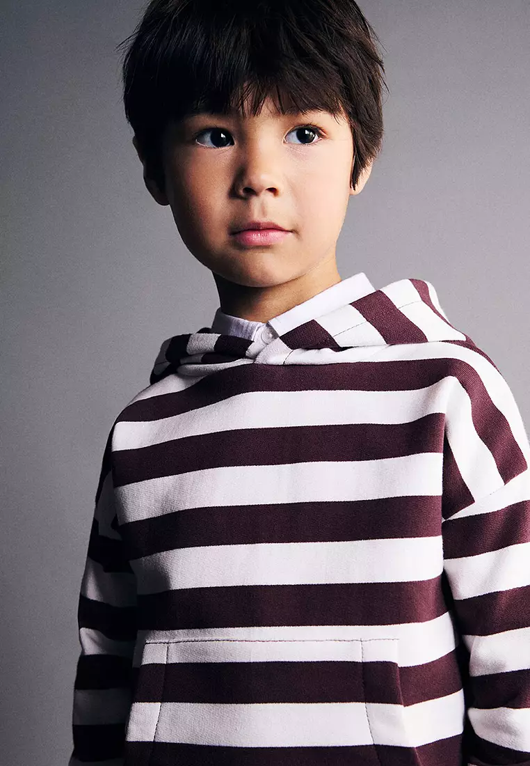 Striped Hooded Sweatshirt