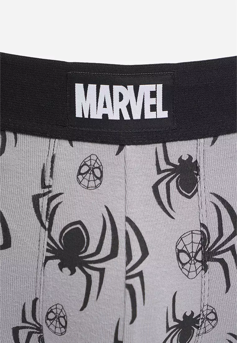 Marvel Boxer Briefs Pack of 2
