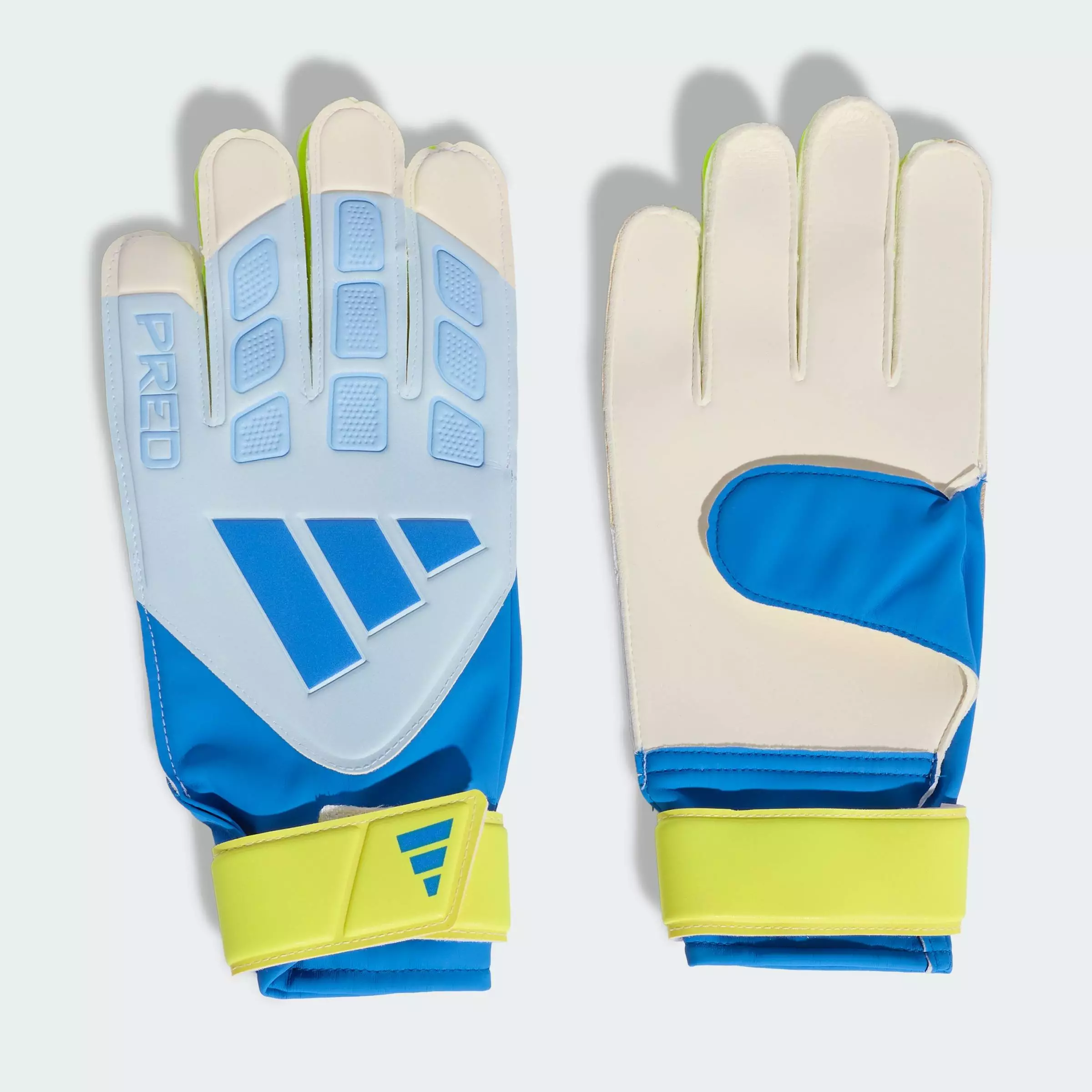 Football PREDATOR GOALKEEPER GLOVE TRAINING Unisex Blue KA7786