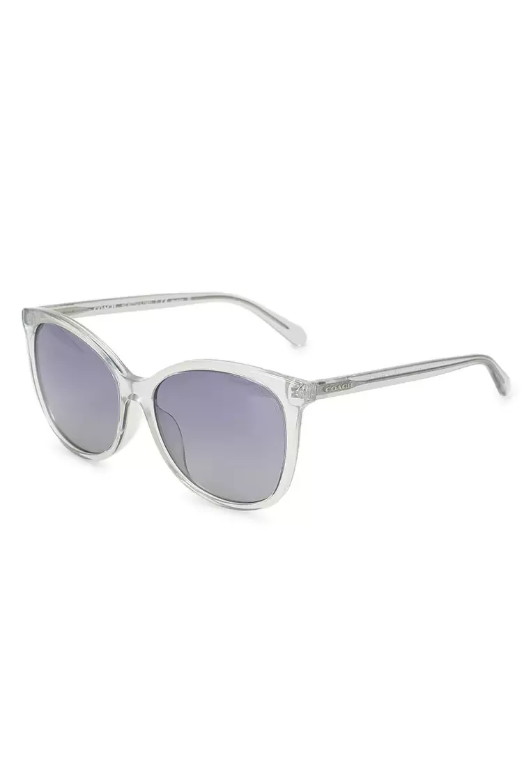 Alexa square outlet sunglasses coach