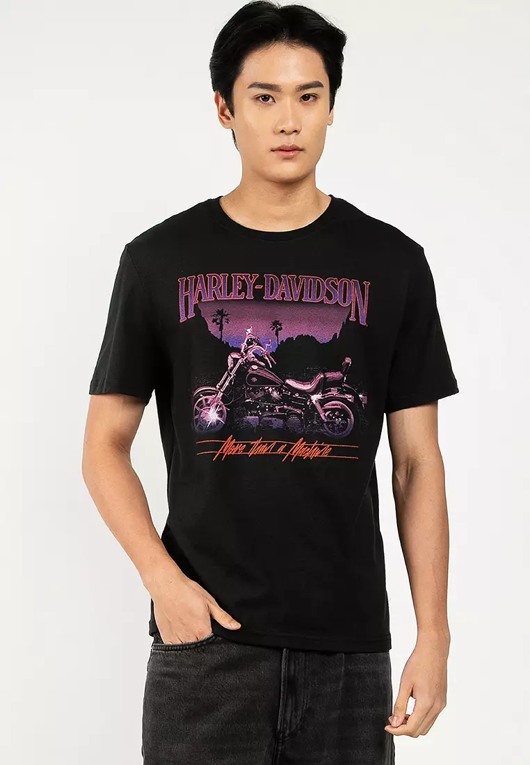 Harley-Davidson® Lowrider Sundown Graphic Tee