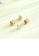 Glamorousky white Simple and Exquisite Plated Rose Gold Geometric Cubic Zirconia 316L Stainless Steel Stud Earrings 1E74FAC7DCCA55GS_3