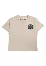 Licensed WB Rainy Day/Batman Ready For Action