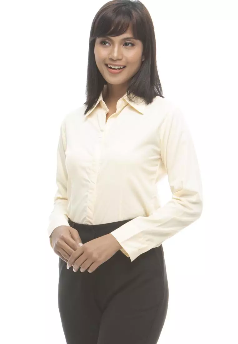 Delaney Pinstripe Long Sleeve Office Blouse