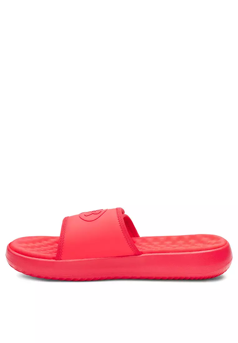 Ignite Pro 8 Slides