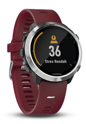 Jual Garmin Jam Tangan Pria Garmin Forerunner 645 Music
