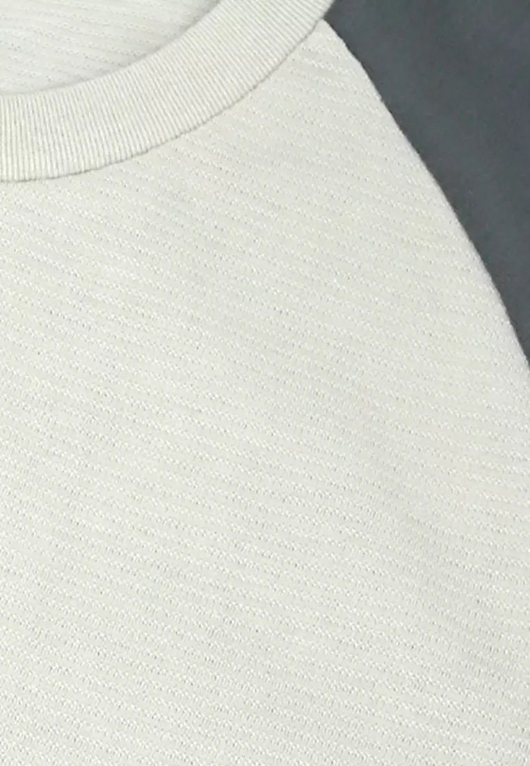 Men's Raglan Sleeves Combi T-Shirt