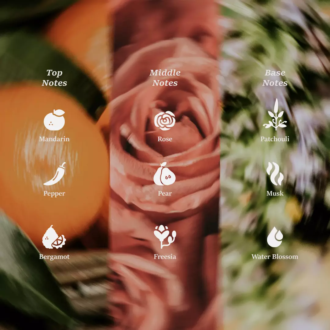 Geela X Myra Rose Extrait de Parfum | Parfum Wanita