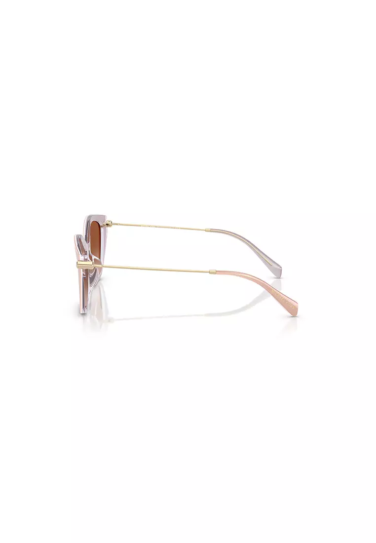 Women's Irregular Frame Brown Acetate Sunglasses - MK2246U