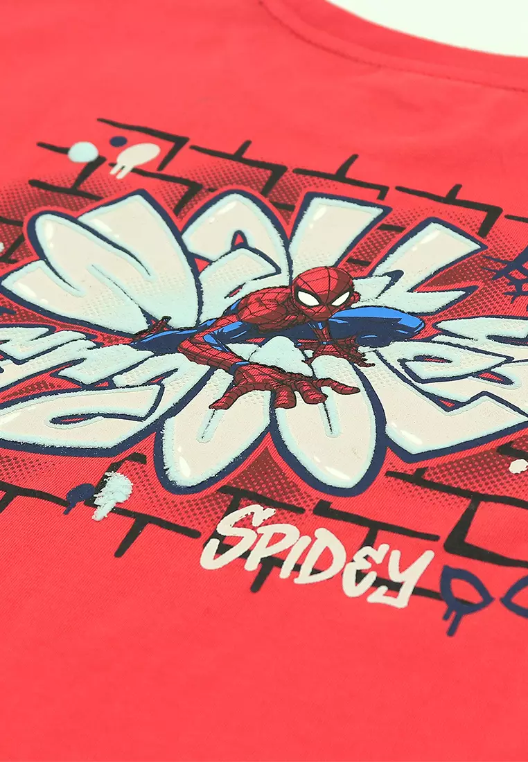 Boys Licensed Oversize Graphic T-Shirt "Wall Crawler"