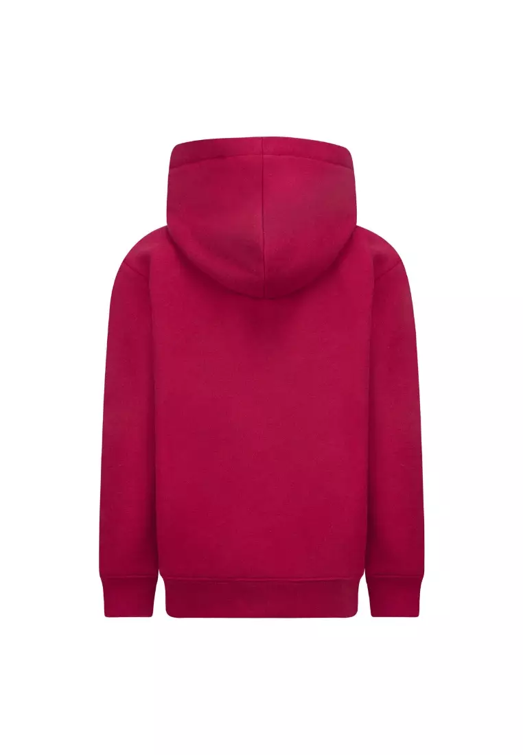 Jordan Fleece Pullover Hoodie Gym Red (Little Kids)