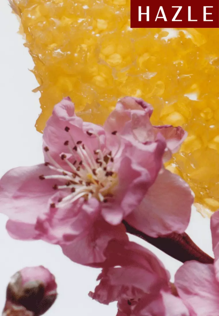 Nectarine Blossom & Honey Unisex Cologne 30 ml