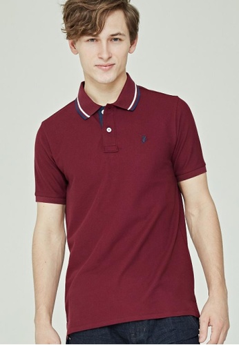 POLO HAUS red and purple Polo Haus - Polo Signature Fit Collar Tee (Wine) ED410AA24F2A64GS_1
