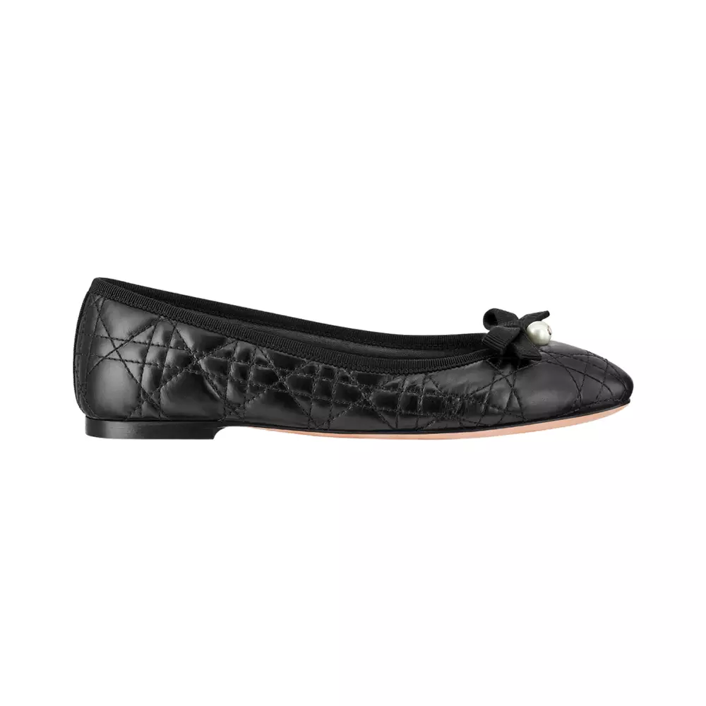 Flat shoes dior online
