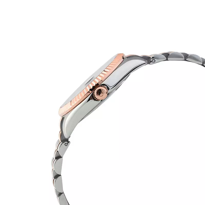 Jam Tangan Wanita Alexandre Christie Classic Steel AC 5014 LD BTRLN Rose Gold Dial Dual Tone Stainless Steel Strap