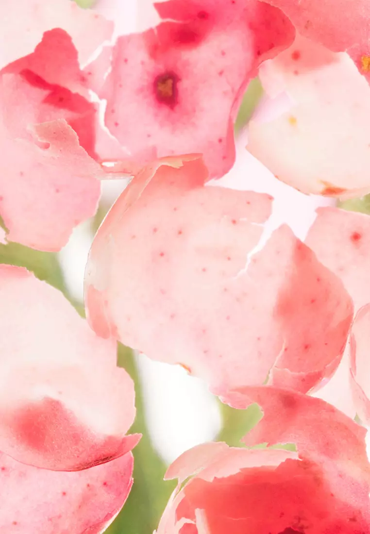 Buy & Other Stories Miami Muse Eau de Toilette 2024 Online ZALORA