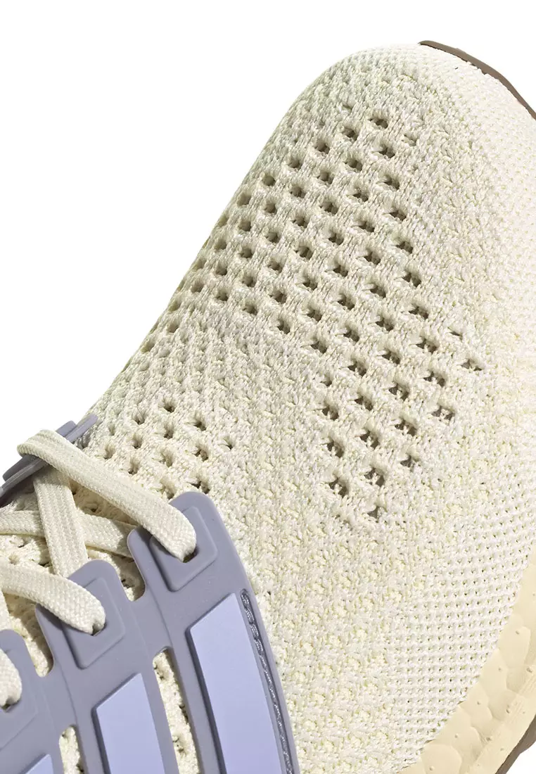 Ultraboost 1.0 Shoes