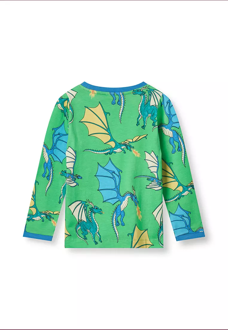 Long-sleeved top with flying dragons