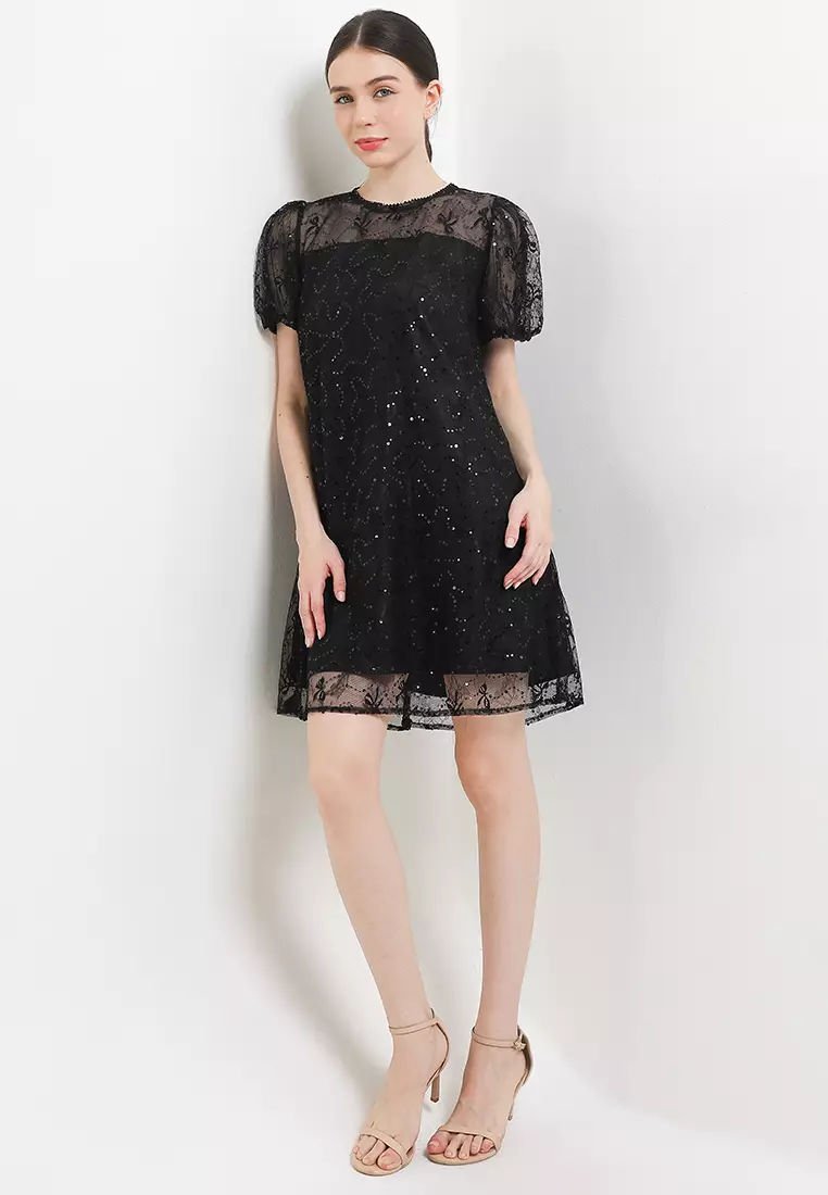 Tulle Detail Puff Sleeve Peakaboo Emb Mesh Dress