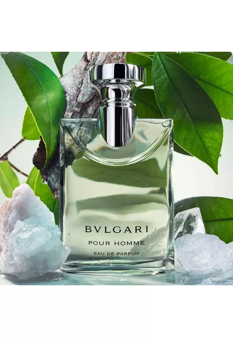 BVLGARI - 大吉嶺茶男士濃香 50ml
