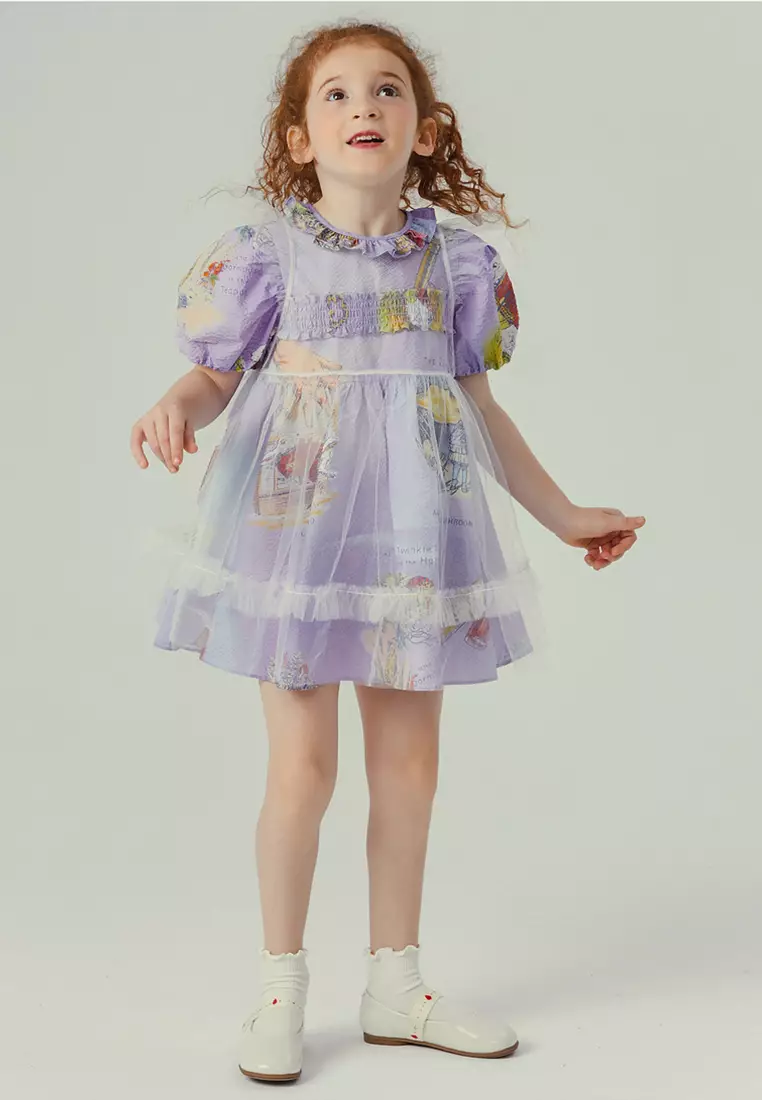 Multicolour Printed Mesh Ruffled Tulle Dress