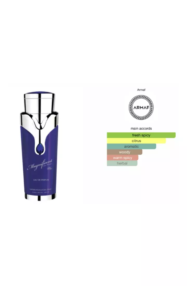 Armaf Magnificent Blue Pour Homme Man EDP - 100 ML (Parfum Pria)