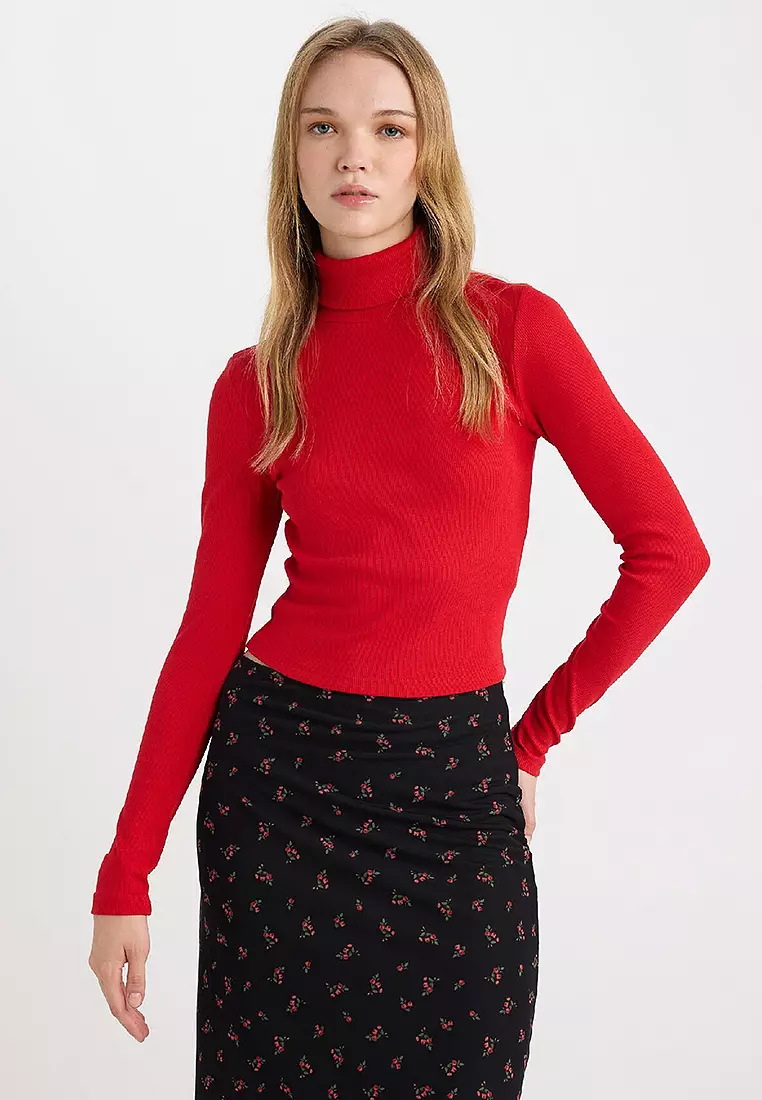 Crop Turtleneck Top