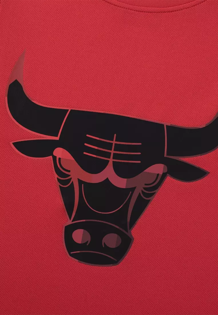 Chicago Bulls  Basketball Jersey for Kids Cromatics Collection