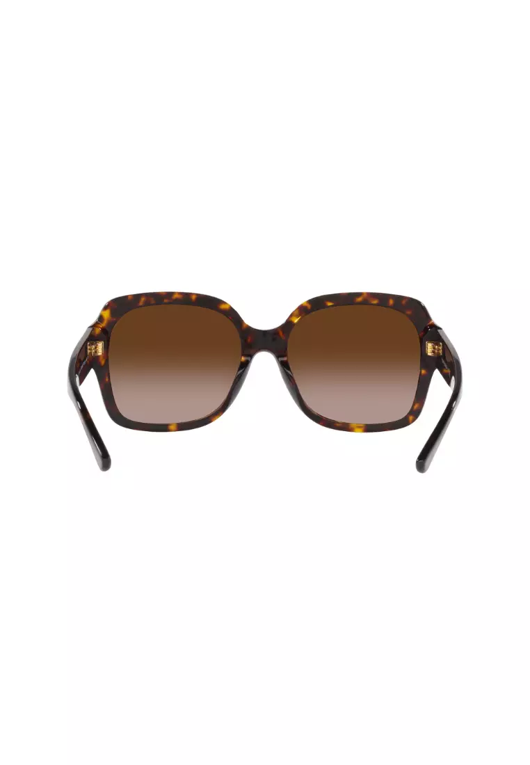 TORY BURCH Tory Burch Women s Square Frame Brown Acetate