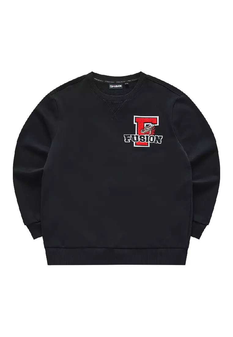 Buy FILA FILA FUSION INLINE CULTURE Men's Pullover Sweater 2025