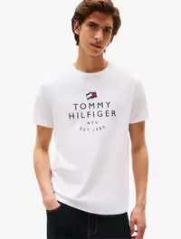 Jual Tommy Hilfiger Tommy Hilfiger - M COLLINS TEE Original  display picture 3