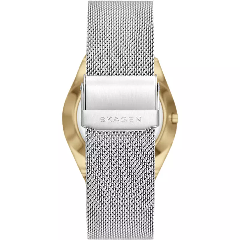 Jam Tangan Pria Skagen Grenen SKW6816 Men Silver Dial Mesh Strap