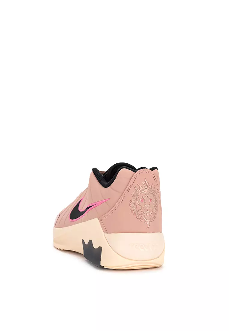 Lebron Witness IX