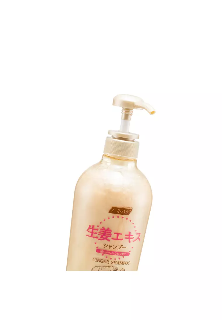 Haruhada GINGER SHAMPOO (600ml)