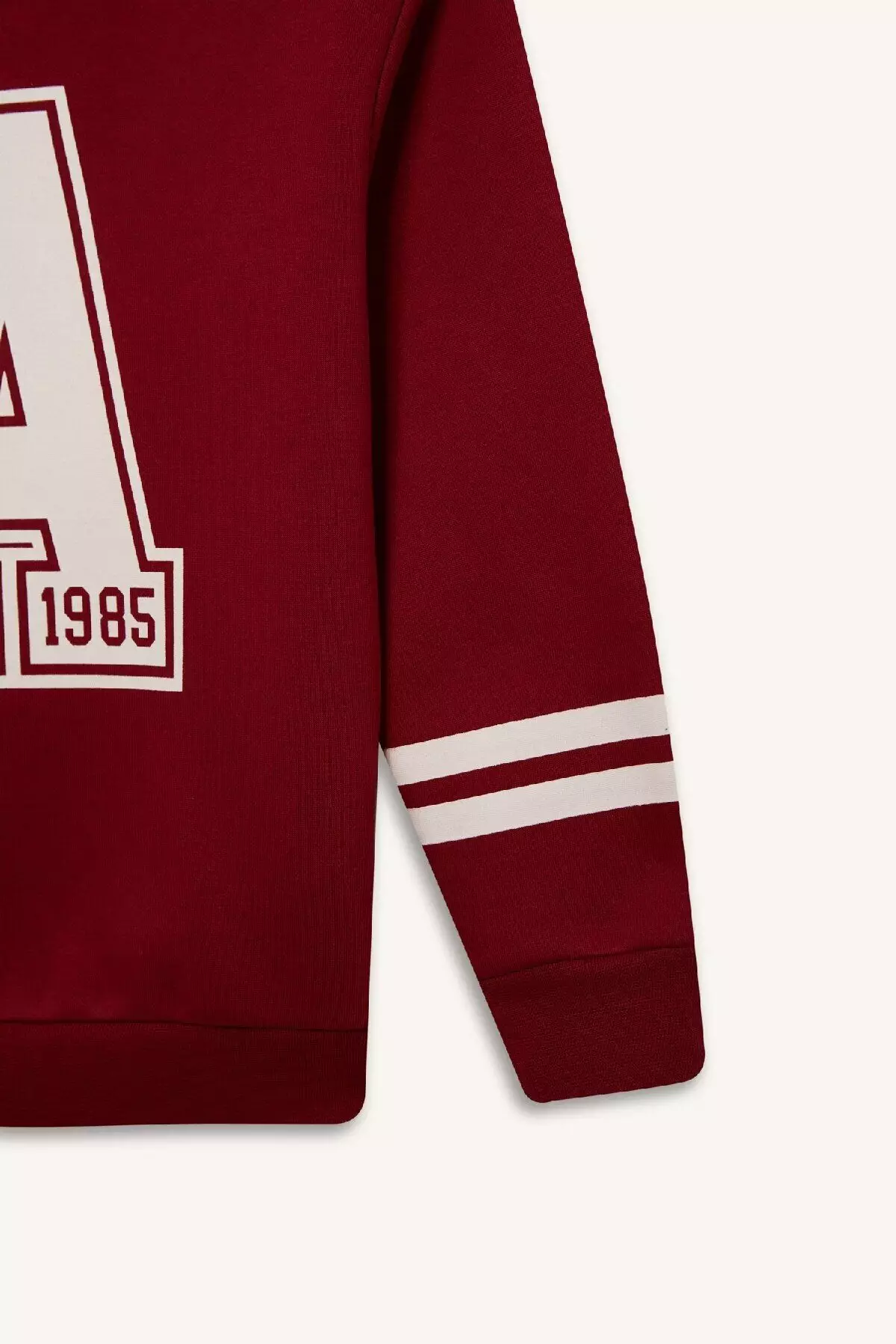 Crew Neck Printed Sweatshirt