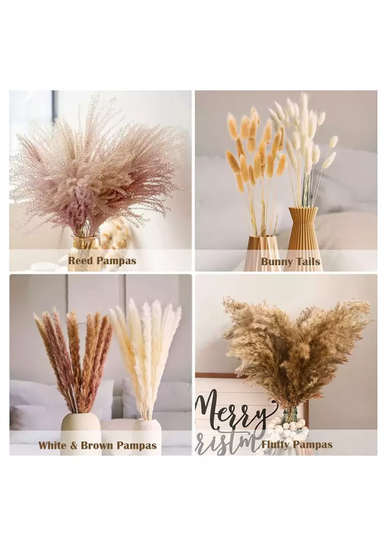 Buy Kings Collection 110pcs Natural Dried Pampas Grass Fluffy Pompous 