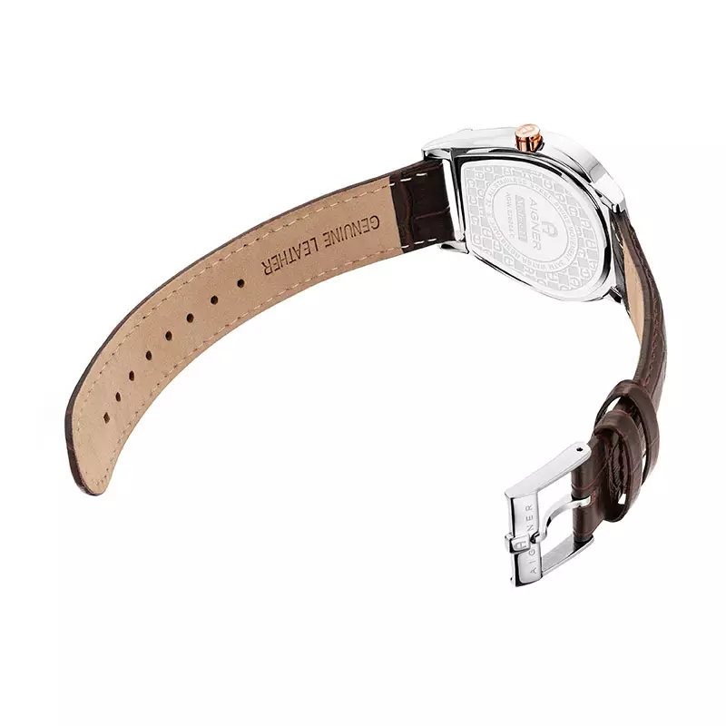 Jam Tangan Pria AIGNER Molise Gents AGW.278004.C