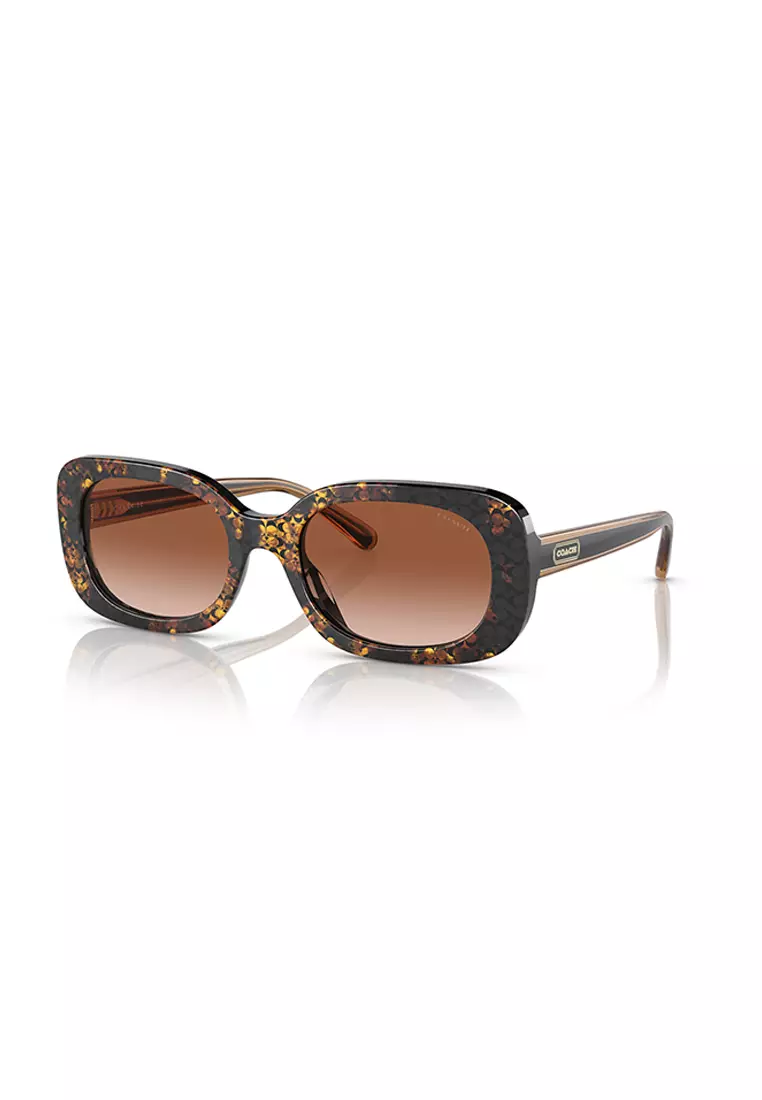 Buy coach store sunglasses online