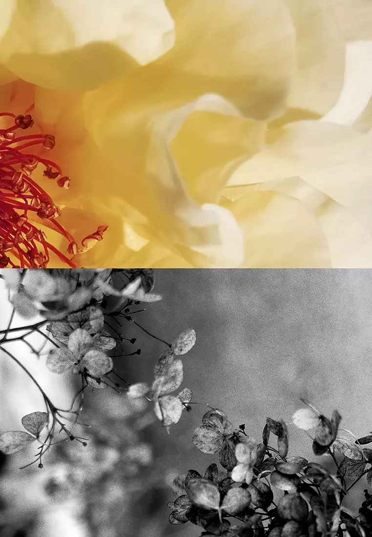 Poem A Day Eau de Toilette
