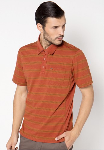 Stripe Polo Shirt 040