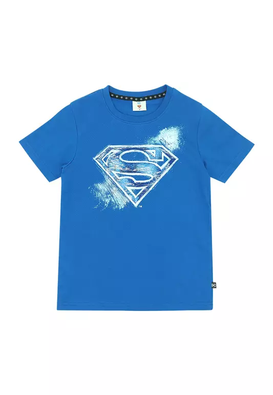 Boys Licensed Graphic T-Shirt Shield