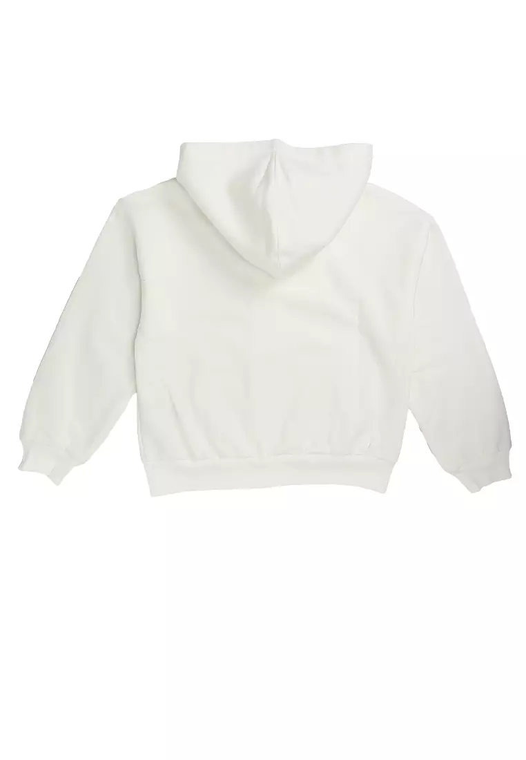 Vintage Soft Logo Full Zip Hoodie