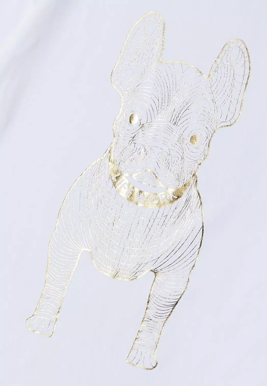 Gold Big Radog Short Sleeve Tshirt - White