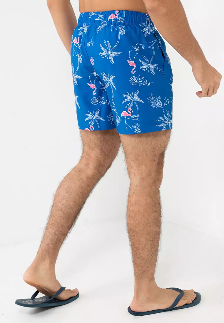 Hollister Pattern Guard Shorts 2024 Buy Hollister Online