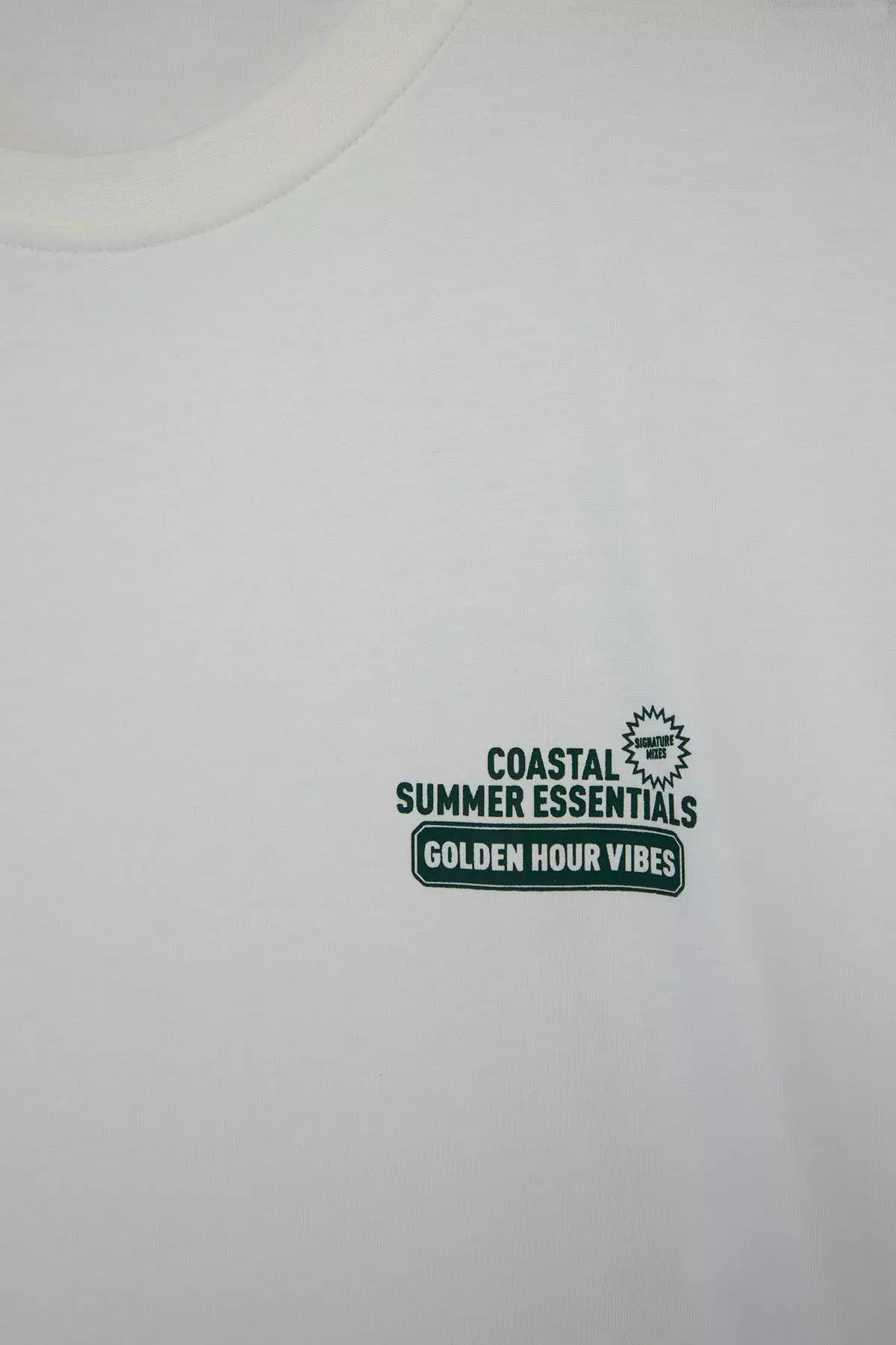 Ecru Oversize/Wide Cut Printed 100% Cotton T-Shirt Tmnss26Ts00049