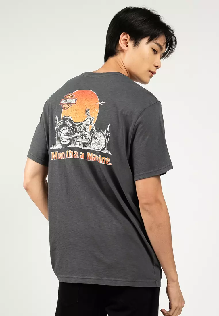 Buy Harley-Davidson Harley-Davidson® Softail Sunset Tee 2026