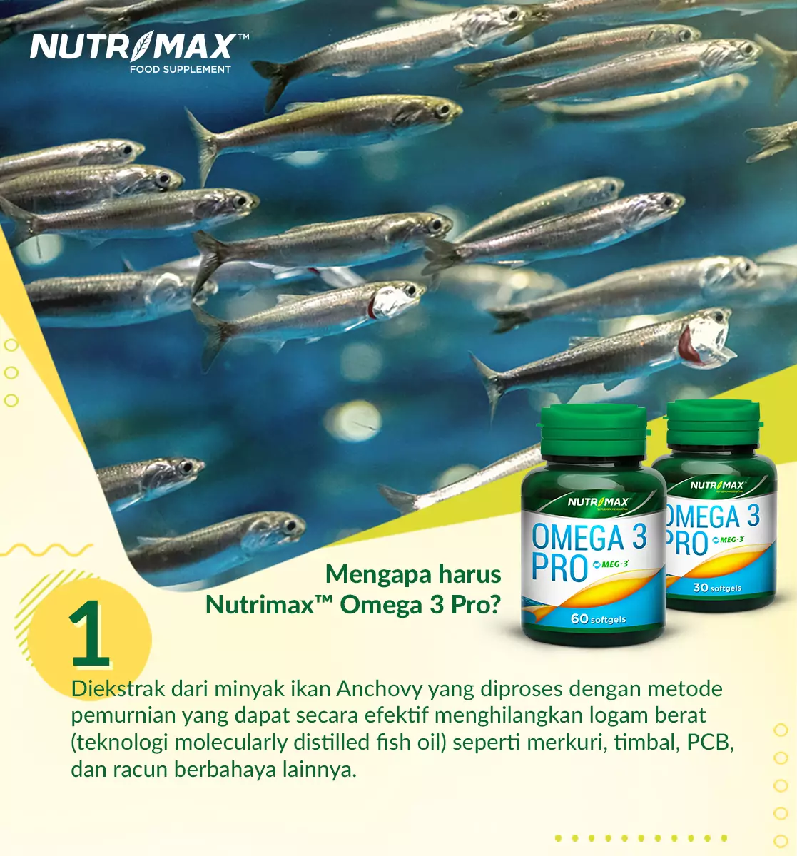 Jual Nutrimax Nutrimax Omega 3 Pro Minyak Ikan Fish Oil Hipertensi