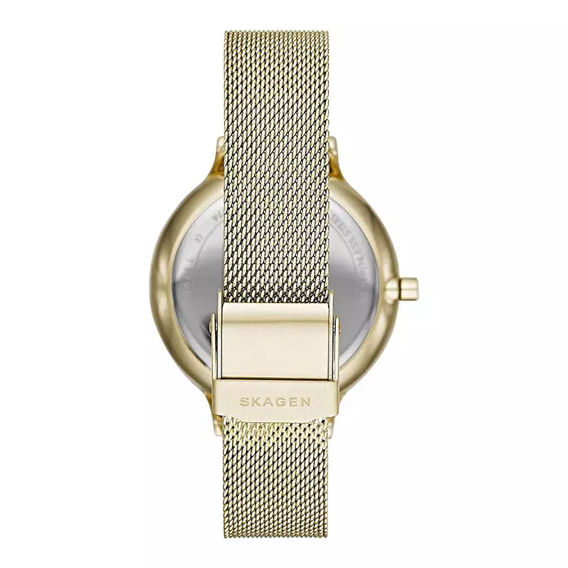 Jam Tangan Wanita Skagen Anita SKW2774 Mother of Pearl Dial Gold Mesh Strap